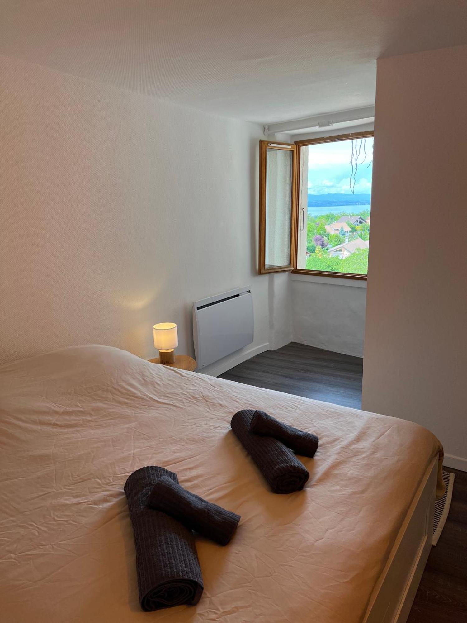 Charmante Maison De Village A 10Min De Thonon-Les-Bains Allinges Kültér fotó